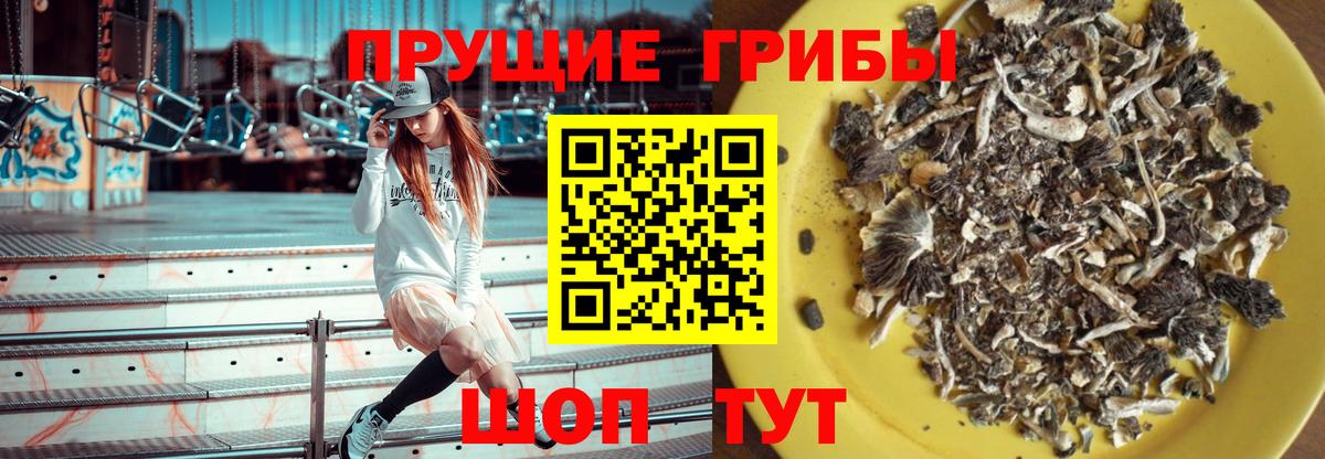 Псилоцибиновые грибы Magic Shrooms  Вход с VPN  Берёзовский 