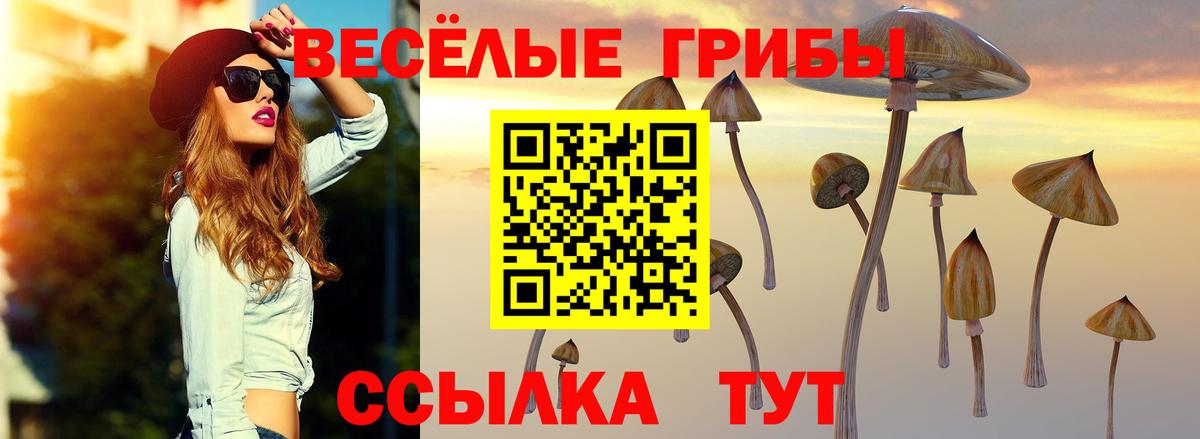 Галлюциногенные грибы прущие грибы Берёзовский