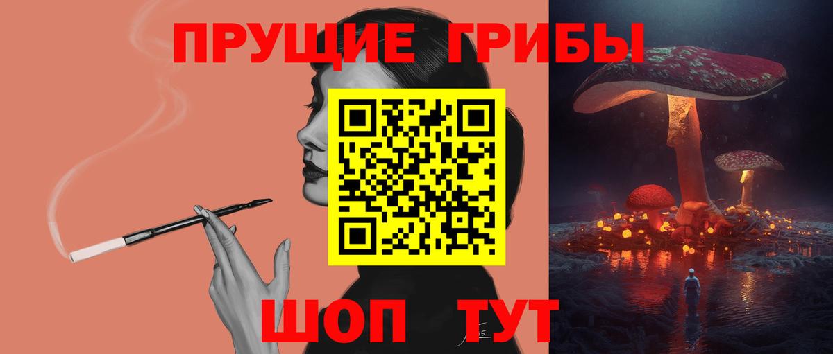 Псилоцибиновые грибы Psilocybe  Псилоцибиновые грибы Psilocybine cubensis  Берёзовский 